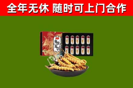 神木市回收冬虫夏草价格